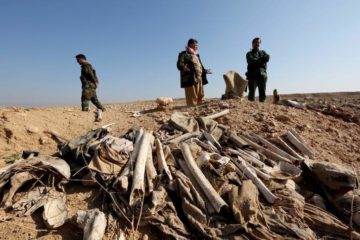 Bones, suspected to belong to members of Iraq's Yazidi community, are seen in a mass grave on the outskirts of the town of Sinjar, November 30, 2015.